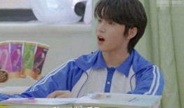 刘耀文被队友爆料视频大全,揭秘背后真相与争议